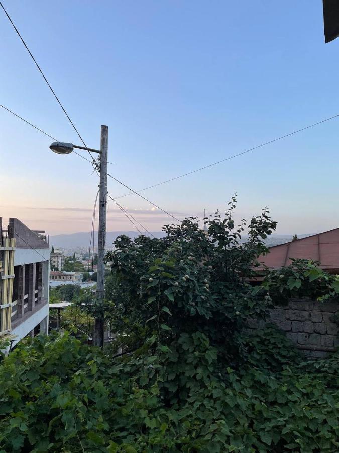Guest House Zemeli Тбилиси Экстерьер фото